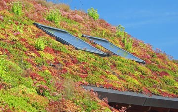 Holbrooks living roof systems